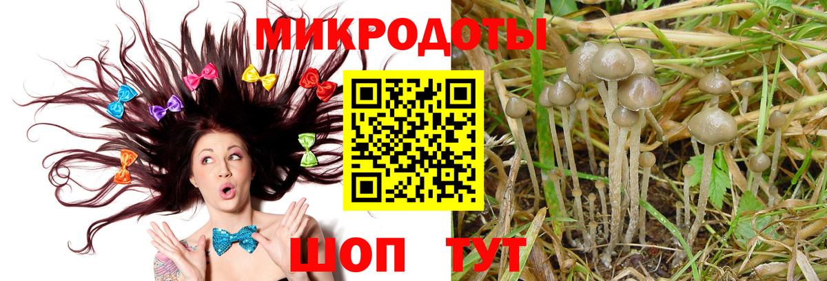 Галлюциногенные грибы ЛСД Калач-на-Дону